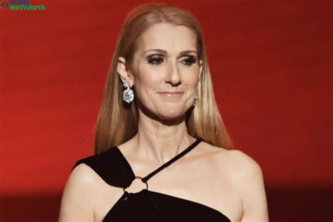 celine company net worth|celine dion salary.